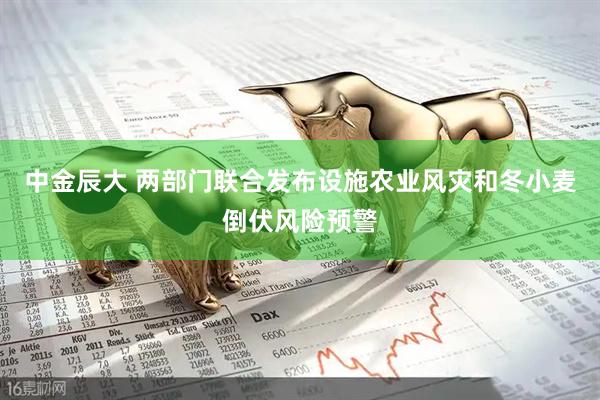 中金辰大 两部门联合发布设施农业风灾和冬小麦倒伏风险预警