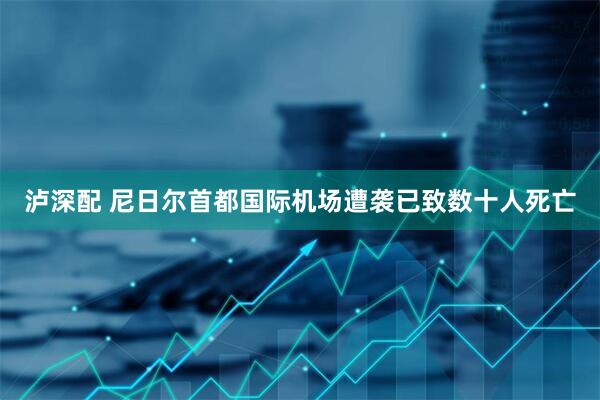 泸深配 尼日尔首都国际机场遭袭已致数十人死亡